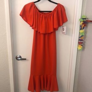 NWT LuLaRoe CiCi